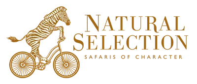 Natural-Selection-Safaris-of-Character-logo-Stacked