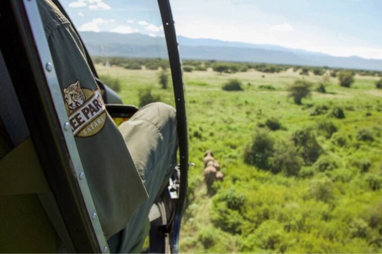 Elephant Monitoring 768x512