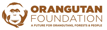 The Orangutan Foundation