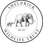 DSWT